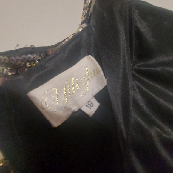 Evening gown sz 18 - Picture 4 of 7